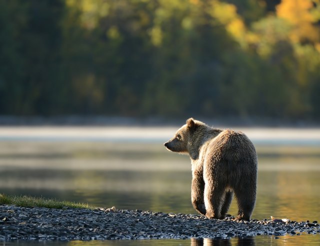 Advertising Opportunities