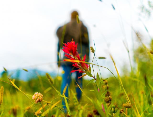 Create a New Listing