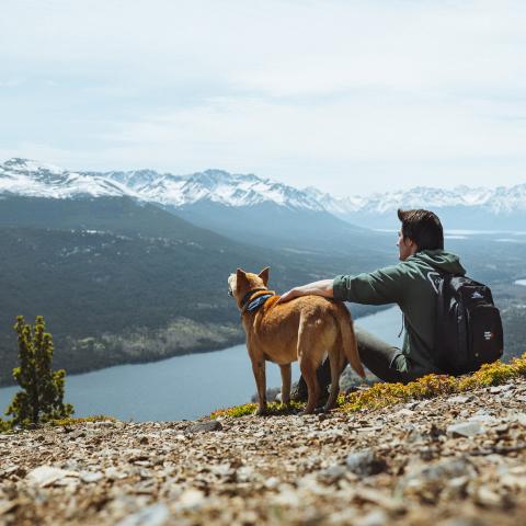 Connecting with opportunities for your operations