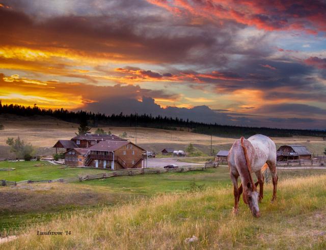 Edit an Existing Listing