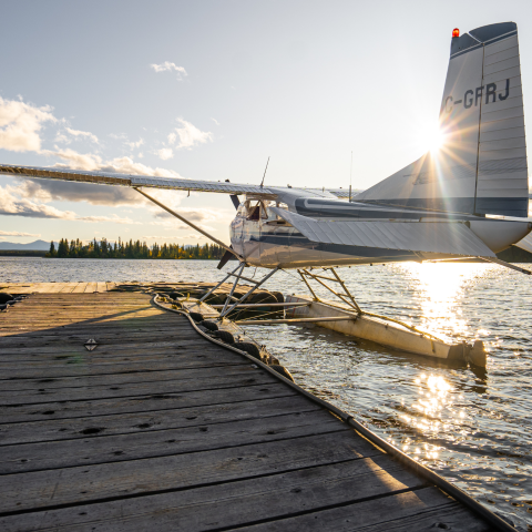 Brush Off Your Wings and Soar Into Spring