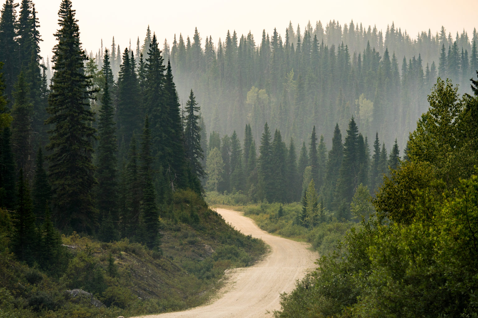 Forest Service Roads Value to Tourism Project